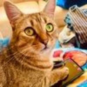 Meet your Posher, Summer